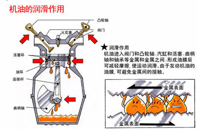 請(qǐng)?zhí)砑涌s略圖